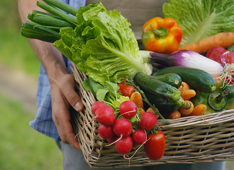 Panier de légumes